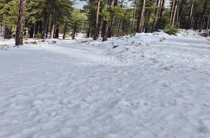 Köyceğiz Sandras Dağı karla kaplandı
