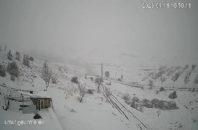 Köye inen kurt sürüsü kameraya yansıdı
