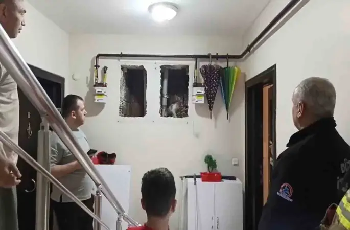 Küçük Yaser Kaan’ın dikkati kediyi kurtardı
