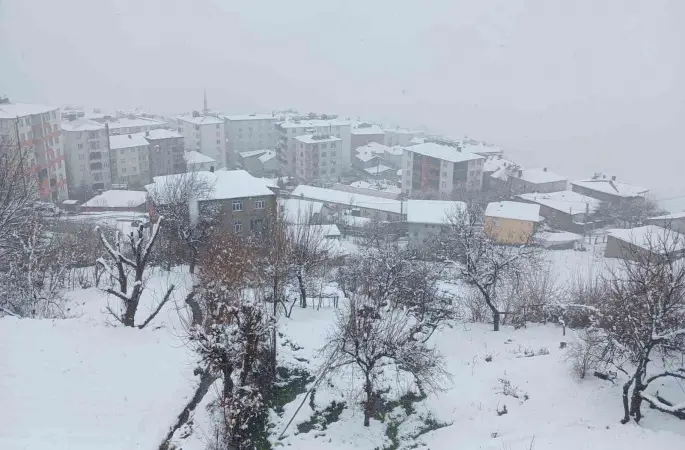 Kulp’ta kar yağışı etkili oldu, ilçe beyaza büründü
