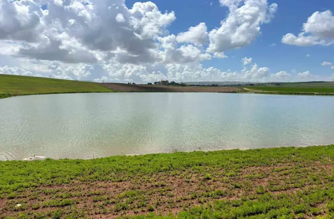 Kuraklıkla kuruma noktasına gelen gölet yağışlarla yeniden canlandı
