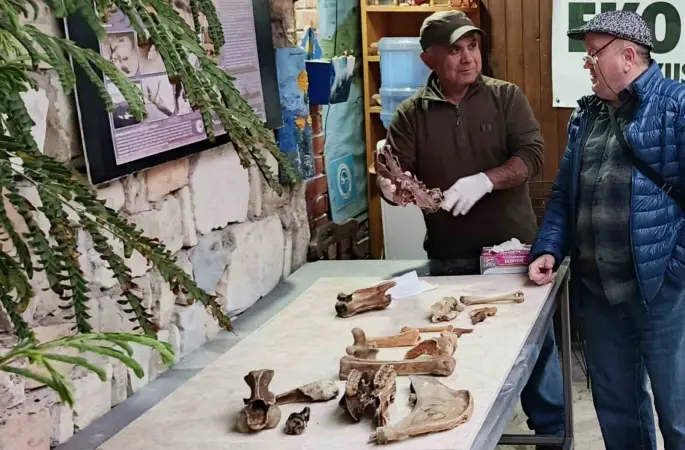 Kuşadası kıyılarında fırtına sonrası ortaya çıkan kemikler incelendi
