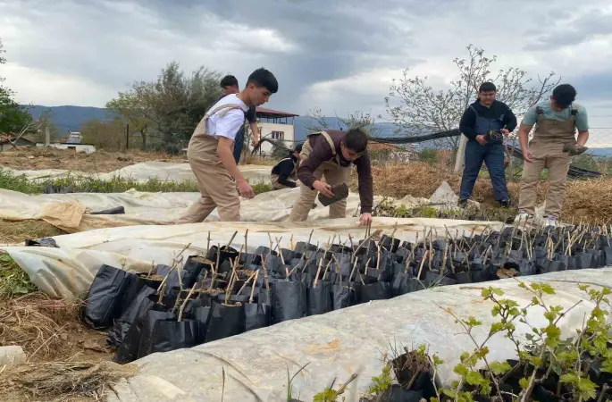 Liselilerden bölge tarımına büyük katkı
