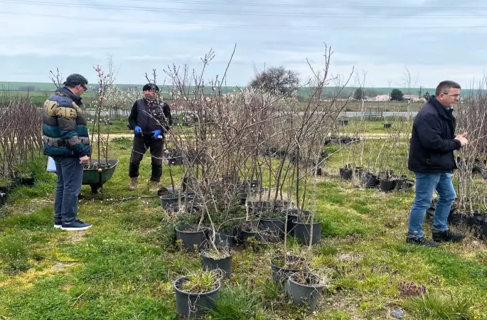 Lüleburgaz’da fidan satış noktalarına denetim
