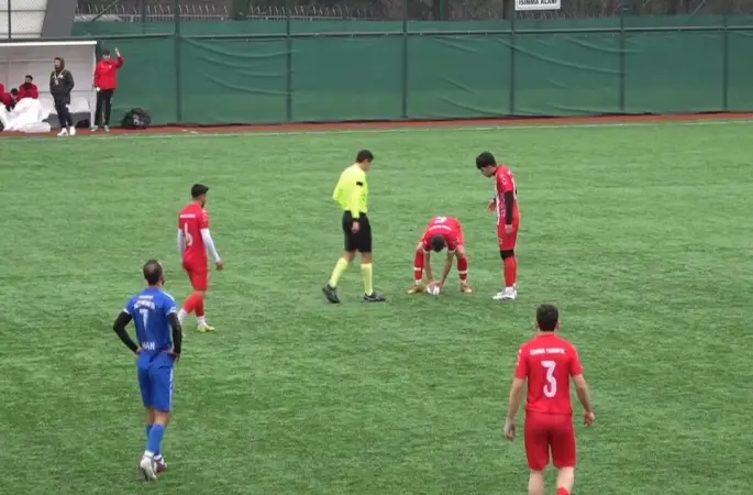 Maç esnasında top çarpan martı, kalp masajıyla hayata döndü
