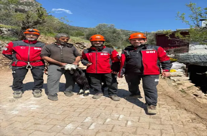 Mahsur kalan 2 keçi, 100 metrelik sarp araziden kurtarıldı
