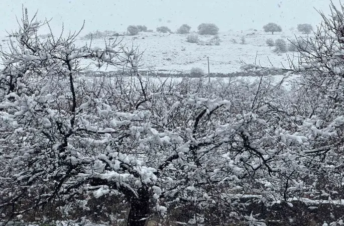 Malatya’da kayısı bahçeleri kar altında kaldı

