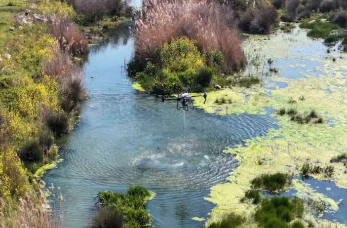 Manisa’da sivrisinek alarmı
