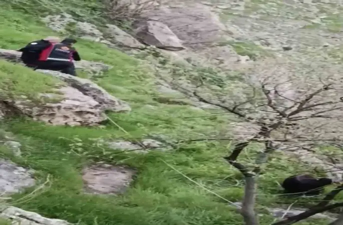 Mardin’de mahsur kalan keçileri itfaiye kurtardı
