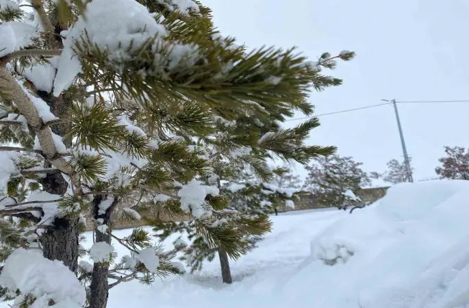Mart ayında Ağrı’da kar yağışı etkili oldu
