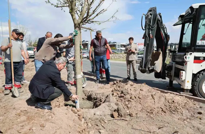 Melikgazi, ağaçlandırma çalışmaları ile geleceğe daha yeşil bir miras bırakıyor
