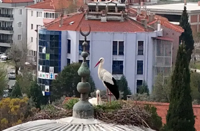 Menteşe’nin sadık misafirleri geldi, 30 yıllık gelenek bozulmadı
