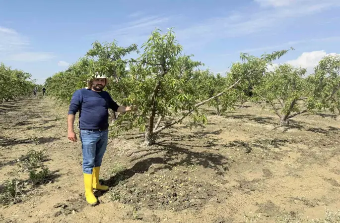 Mersin’de selin ardından bahçelerde sular yeni çekildi
