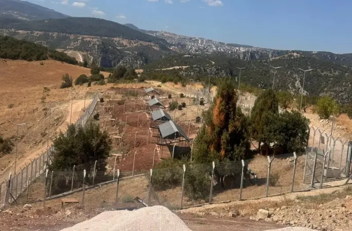 Milyonluk Sokak Hayvanları Doğal Yaşam Alanı ortada kaldı
