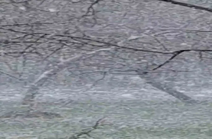 Mudurnu’da lapa lapa kar yağışı etkili oldu
