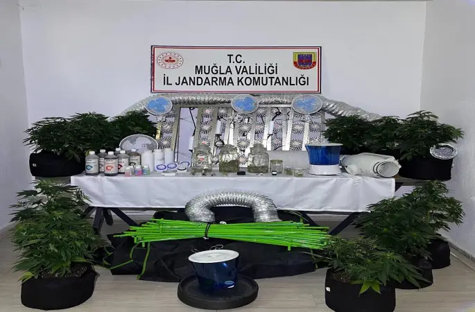 Muğla Jandarmasından zehir tacirlerine Mart ayı darbesi: 173 gözaltı
