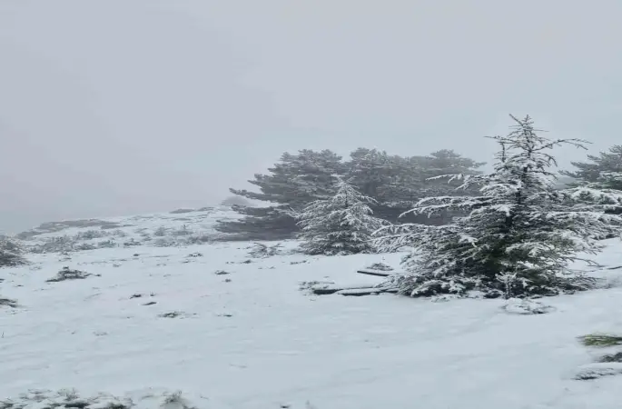 Muğla’da Göktepe beyaza büründü

