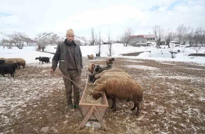 Muş’ta kış ve bahar aynı anda yaşanıyor
