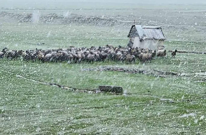 Muş’ta nisan karı etkisini sürdürüyor: 22 köy yolu ulaşıma kapandı
