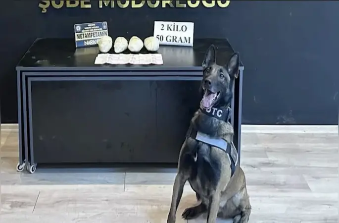 Ocak ayının en başarılı narkotik köpeği "Jardi" oldu
