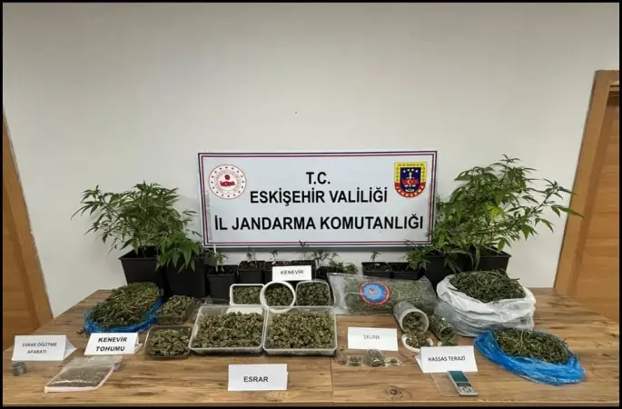 Ormanda uyuşturucu ticaretine jandarma engeli: 1 tutuklama
