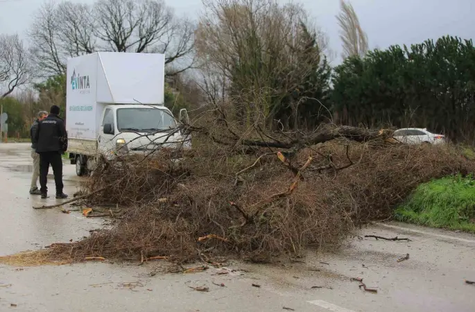 Osmangazi Belediyesi’nden lodosa karşı etkin müdahale
