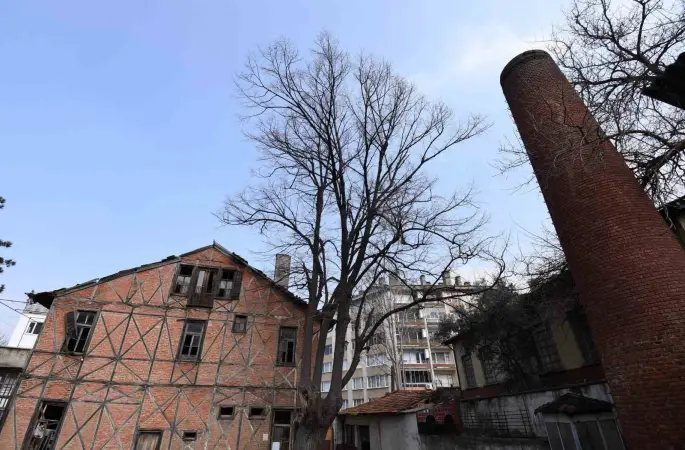 Osmangazi’de Roman Gal ve Arkeo Park projeleri Bursa’nın kültür hayatına kazandırılıyor
