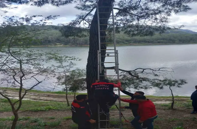 Osmaniye’de ağaca takılan kargayı itfaiye kurtardı
