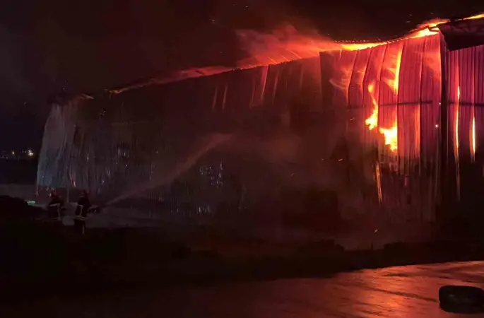 Osmaniye’de karton fabrikasında yangın
