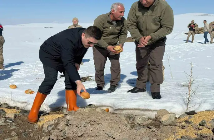 Özalp ilçesinde doğaya yem bırakıldı
