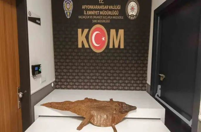 Polis durdurduğu araçta timsah derisi ele geçirdi
