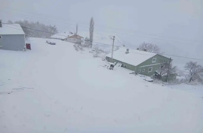 Posof’ta kar esareti
