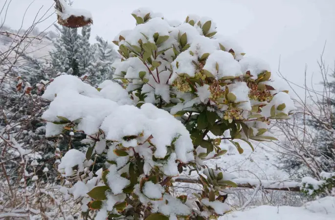 Pütürge’de kartpostallık görüntüler

