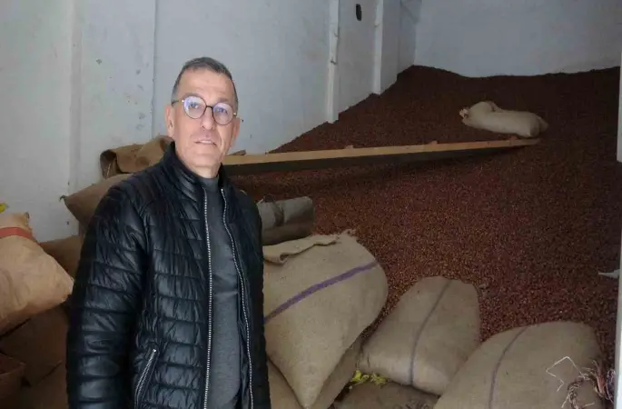 Ramazan Bayramı öncesi fındık fiyatları 240 liraya geriledi
