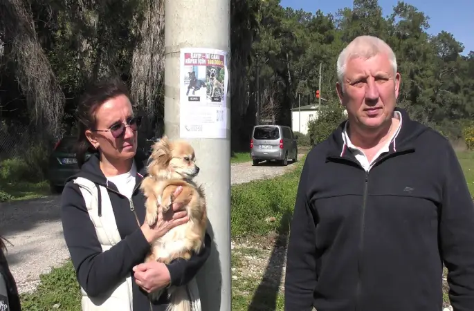 Rus sahipleri, kaybolan köpeklerini sokak sokak arıyor: Canlı bulana 100 bin, ölü bulana 10 bin ödül
