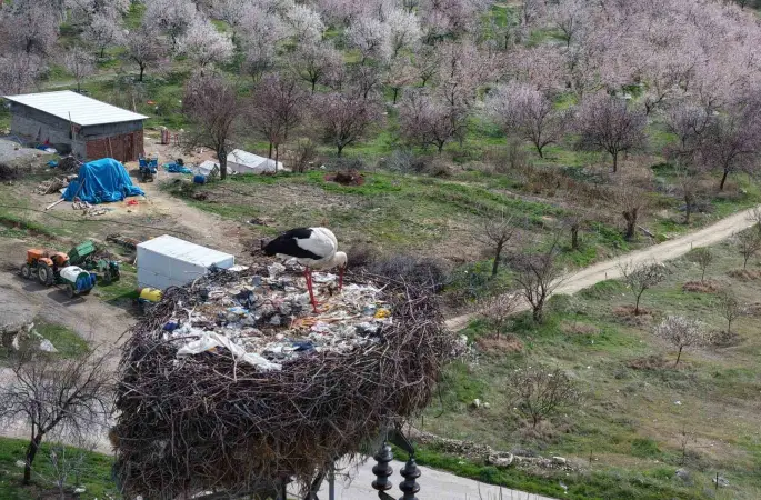Sadık misafir leylek 10 yıldır yolunu şaşırmıyor
