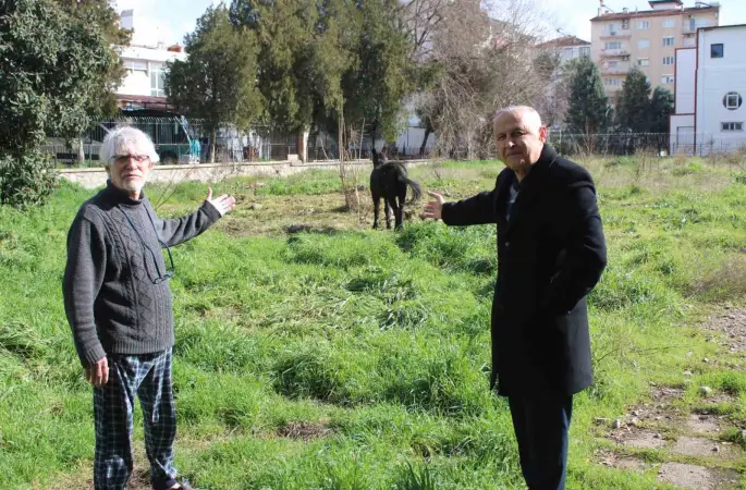 Sahipleri ölüme terk etti, resmi kurumlar topu birbirine attı
