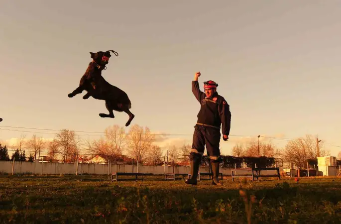 Sakarya itfaiyesinin eğitimli köpekleri operasyonlar için hazır kıta bekliyor
