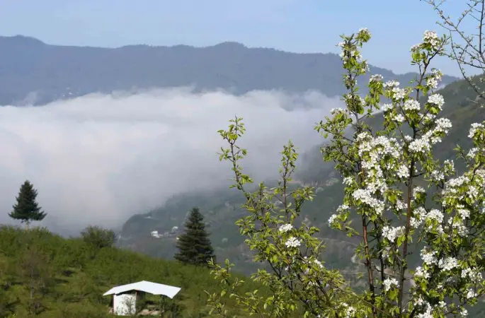 Sakarya’nın yüksek kesimlerinde bahar güzelliği
