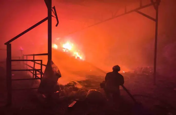 Samanlıktan yükselen alevler, besihaneye ulaşmadan kontrol altına alındı
