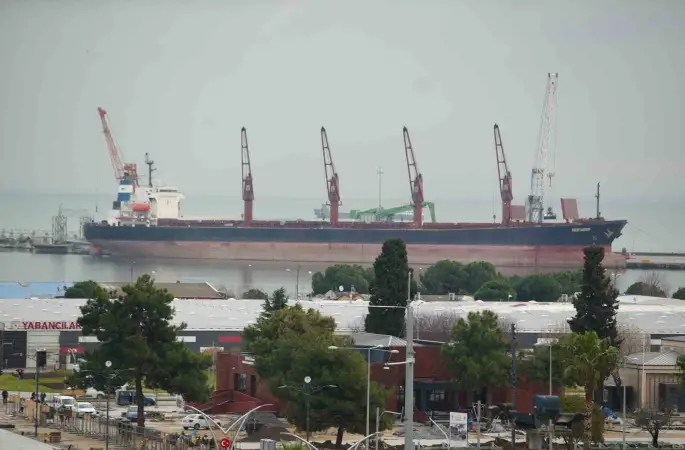 Samsun gümrüğünden en çok meyve ihraç edildi, motorin ithal edildi

