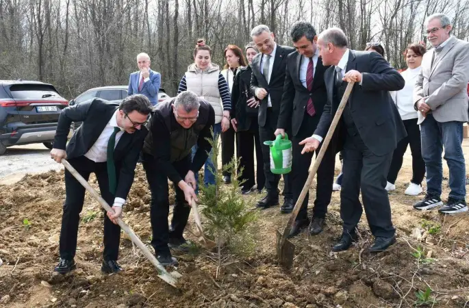 Samsun’da ormanlar ağaçlandırılıyor
