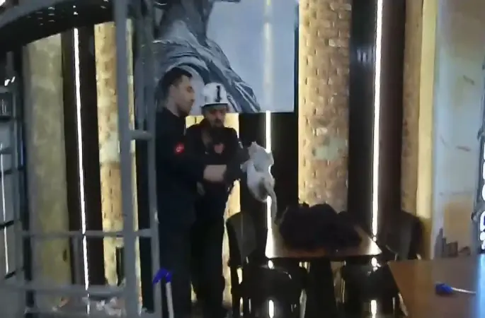 Şanlıurfa’da havalandırma boşluğunda mahsur kalan kedi kurtarıldı
