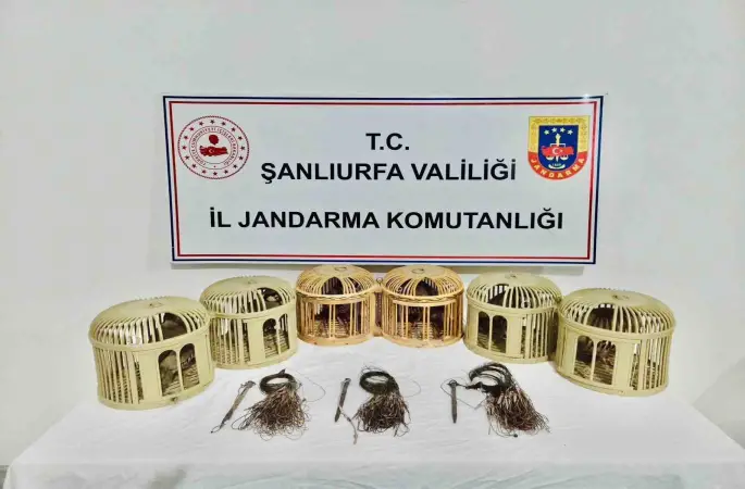Şanlıurfa’da kaçak keklik avcıları suçüstü yakalandı

