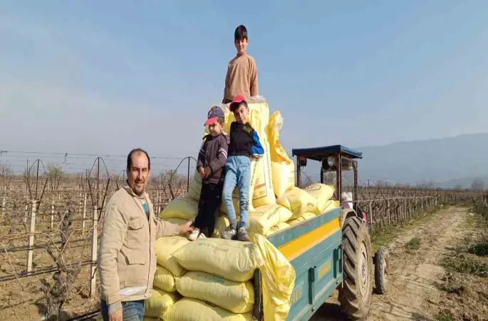 Sarıgöl bağlarında gübreleme çalışmaları başladı
