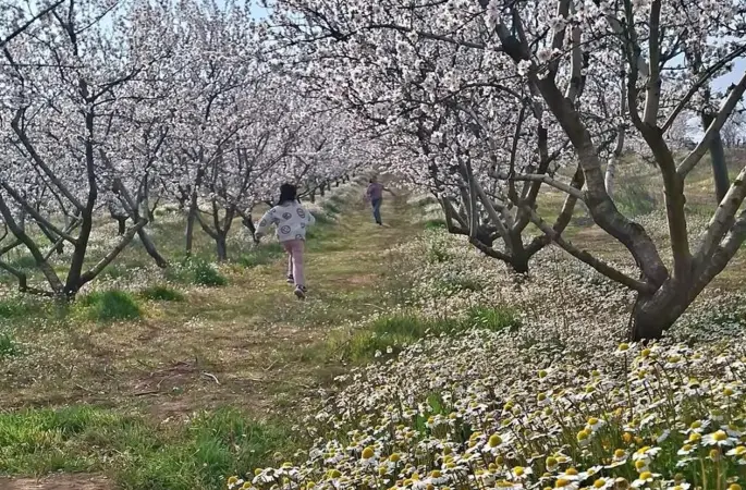Sarıgöl’de kartpostallık manzara
