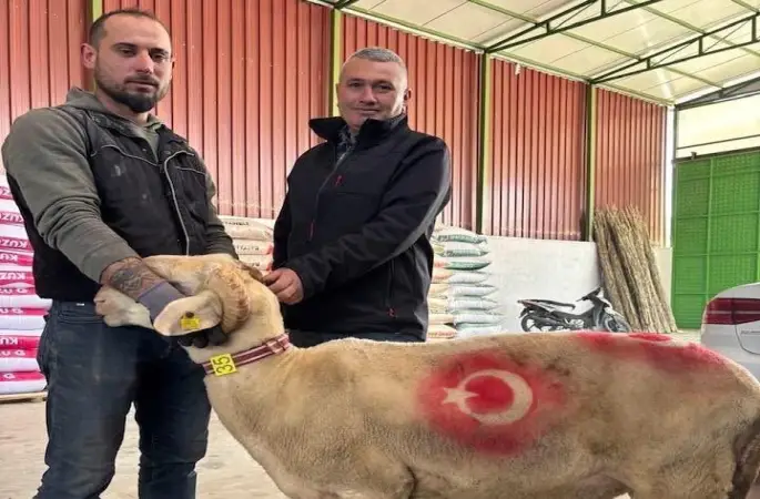 Sarıgöl’de kurbanlık pazarı hareketlendi
