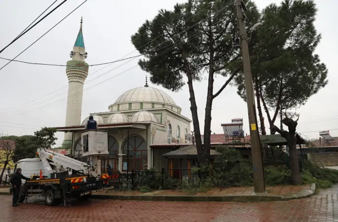 Şehzadeler Belediyesi’nin budadığı dallar ihtiyaç sahiplerinin ocağını ısıtıyor
