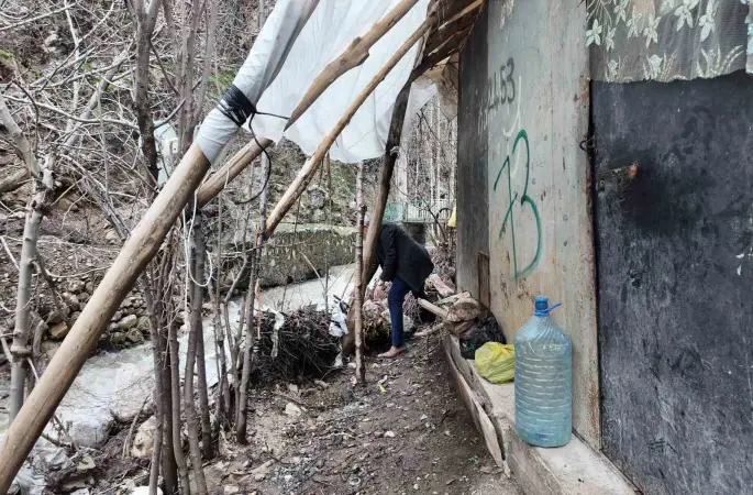 Sel sularından korunmak için odun ve çalılarla önlem aldı
