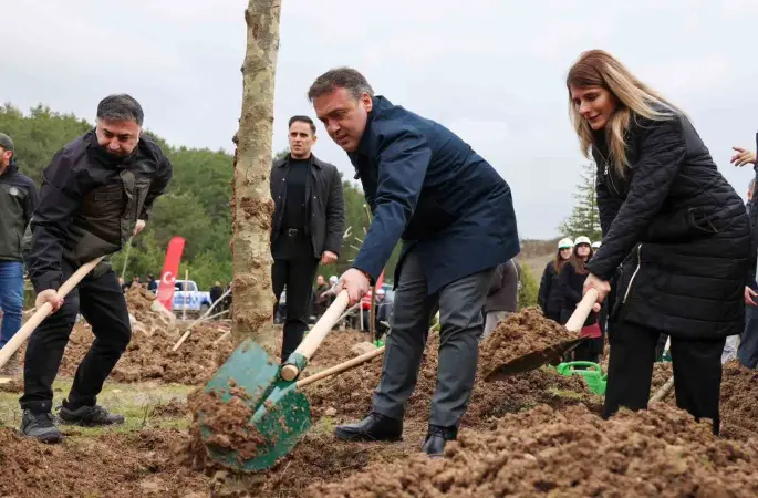 Şeyh Edebali’nin vefatının 700. yıl dönümünde 700 çınar toprakla buluştu
